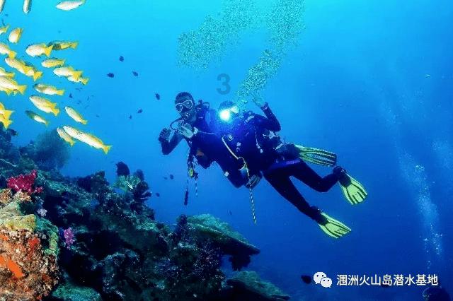 全民剧本大师内置菜单